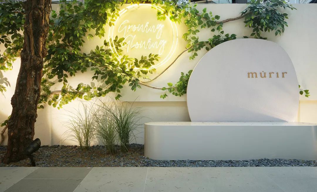 案例赏析丨首尔·VilladeMurirStore