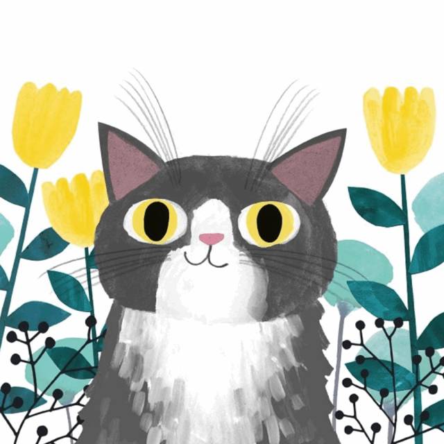 姑娘1天画1只猫坚持了100天 (坚持画猫100天的姑娘太有才了)