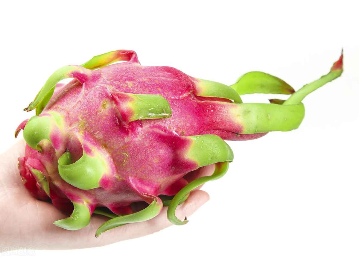 切开的火龙果发芽了还能吃吗,火龙果放几天里面发芽了能吃吗