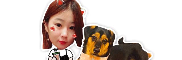 猫低氯血症的临床表现,猫低蛋白血症怎么治