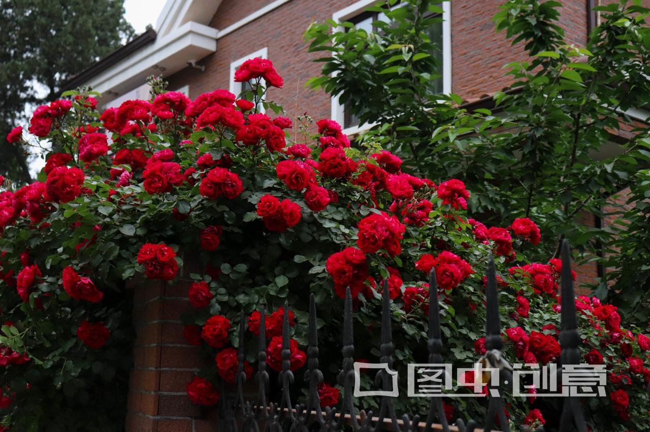 农村十款阳台设计,漂亮的阳台设计露天