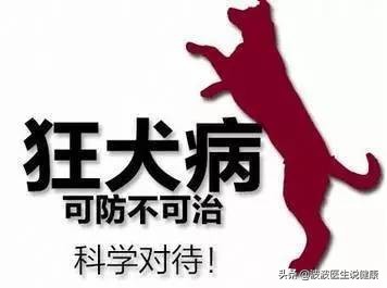 为什么感染狂犬病治愈不了,感染了狂犬病打免疫球蛋白有用吗