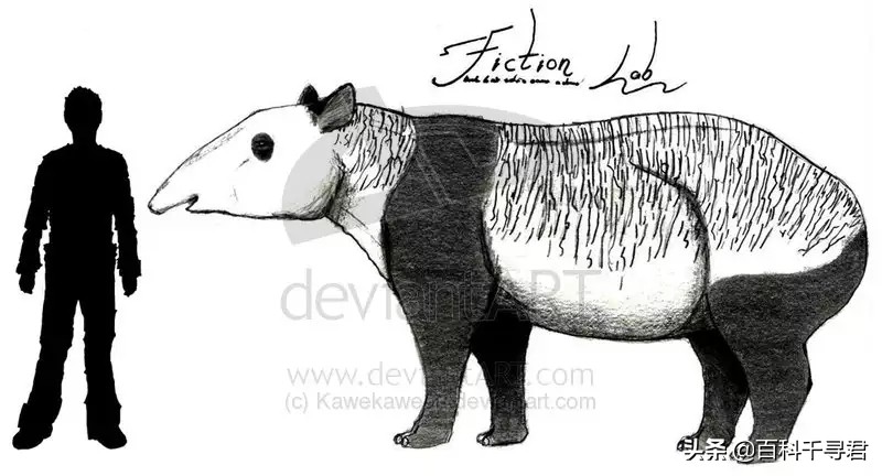 这种长着象鼻子,形似大肥猪的奇特动物,历史上曾在我国广泛分布