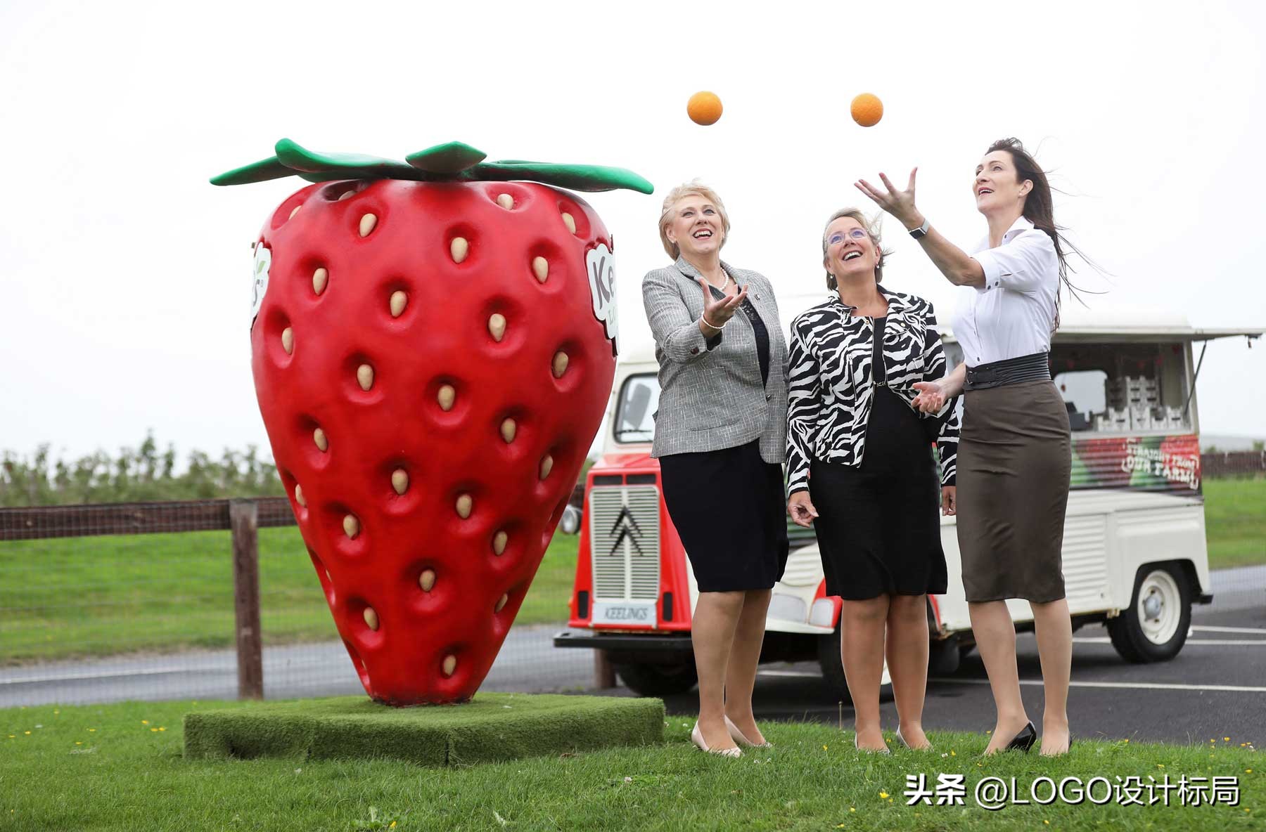 乡村振兴｜农产品Keelings家族基林斯草莓品牌案例