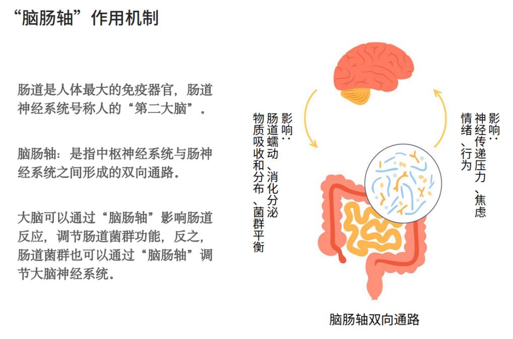 上药信谊益生菌p1000,上药信谊h5益生菌副作用