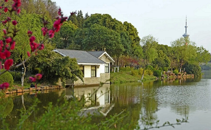 南京免费景点排行榜前十名,南京旅游年卡免费景点一览表