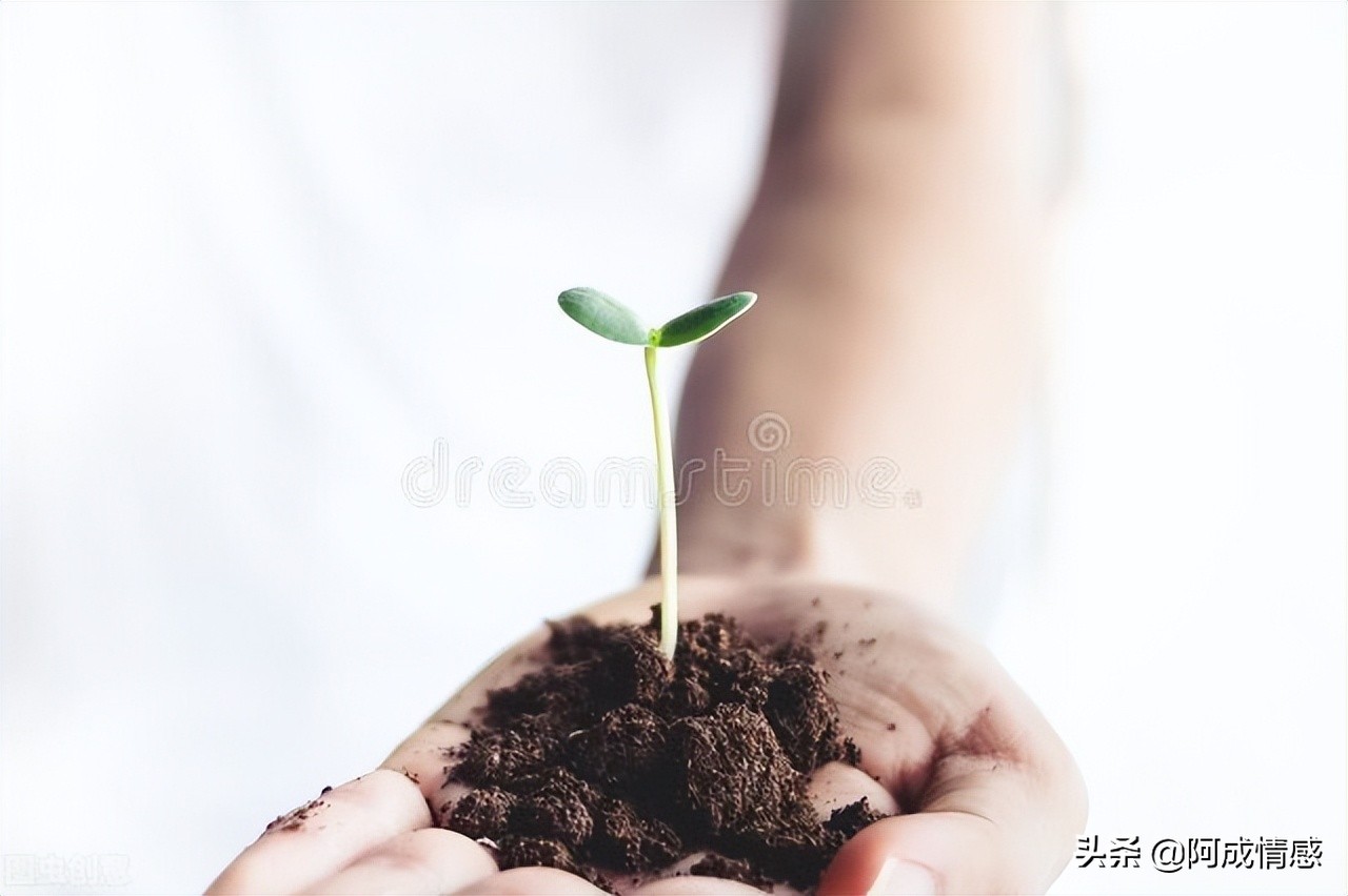 从容离别,离别的从容