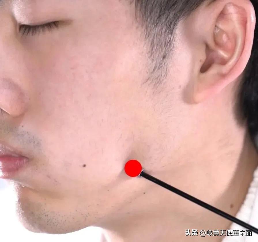 脸部三个美白穴,脸部抗皱抗衰的穴有哪些