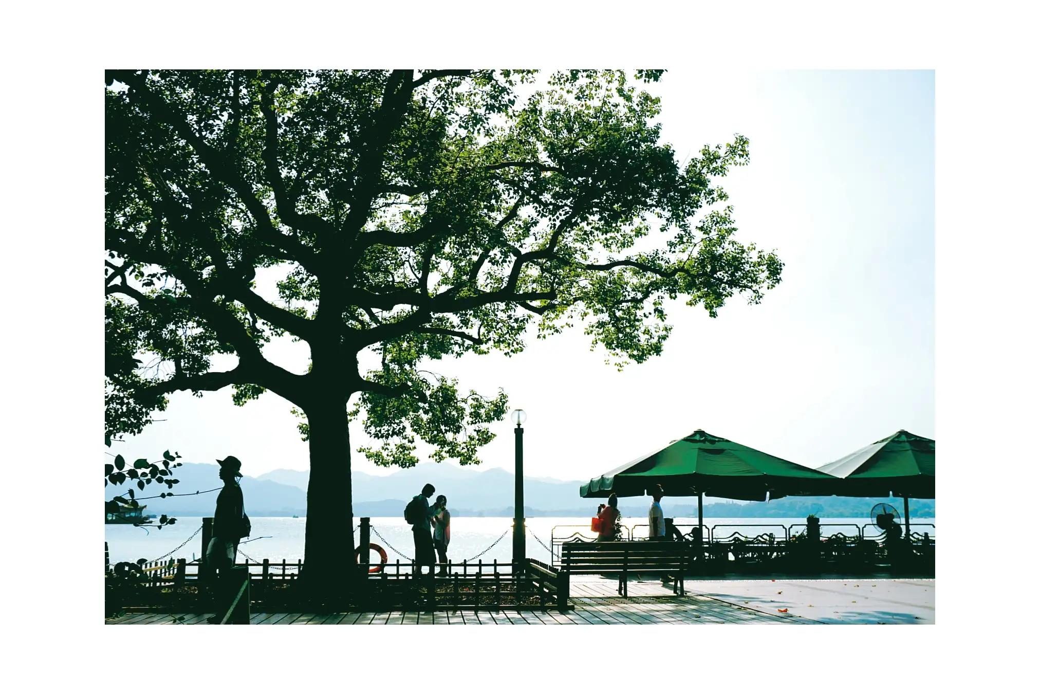 生活在杭州,生活在浙江杭州是什么体验