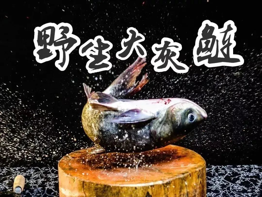 呼叫“特种兵”!目的地:江苏常州