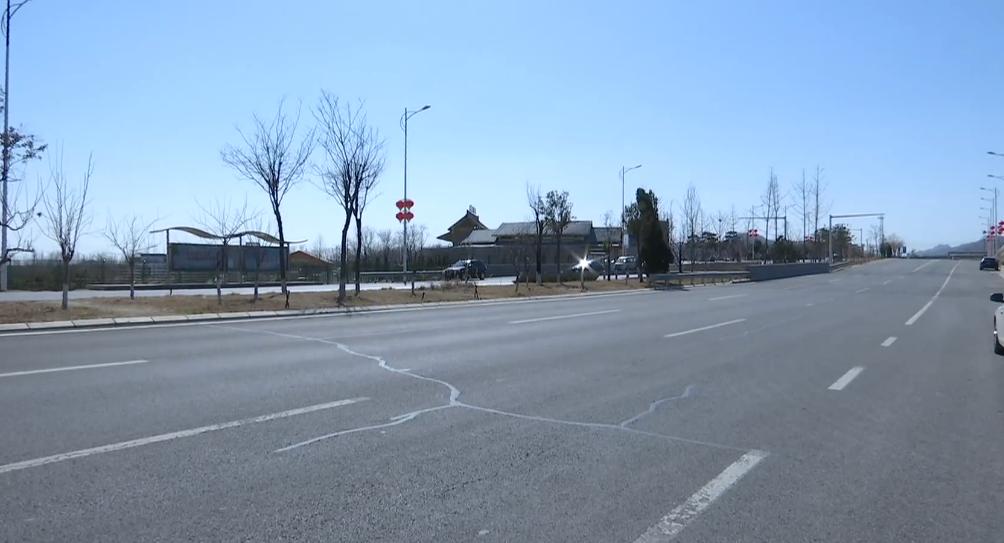 「全市过万亿·鹿泉在行动」上庄镇：内培外引齐发力，跑出发展“加速度”