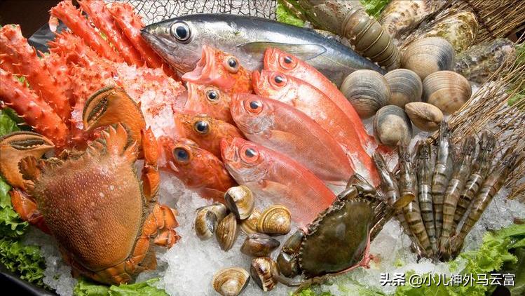 锌的食物有哪些儿童,锌通过什么食物食补