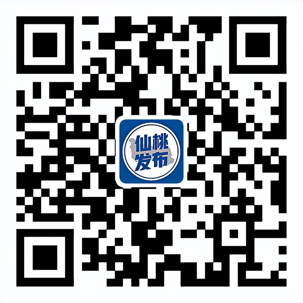 仙桃市公务员报考条件,湖北仙桃2024招录公务员岗位