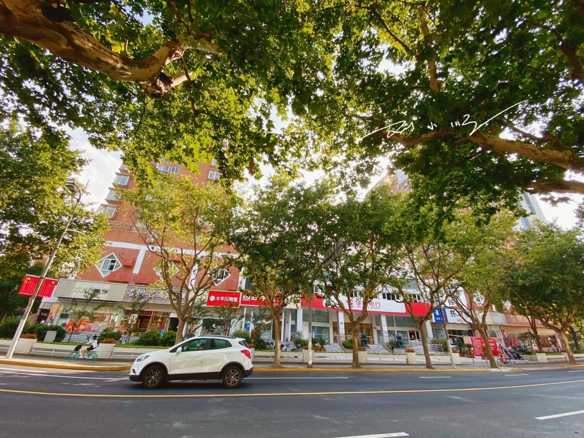 上海北部发展前景,上海郊区哪个发展最好