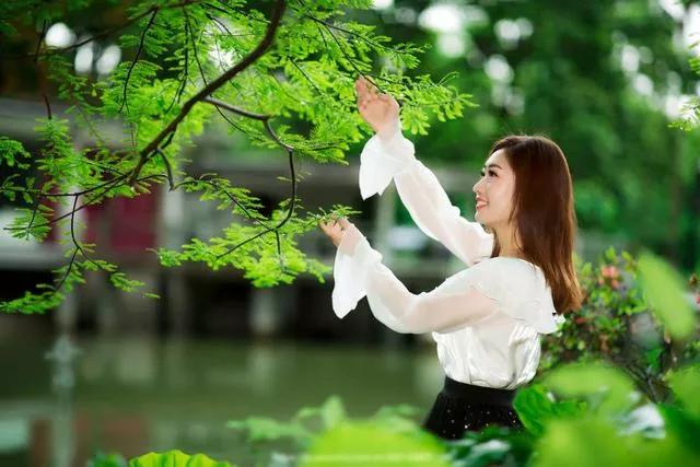 原创诗歌诗词欣赏,落红诗歌