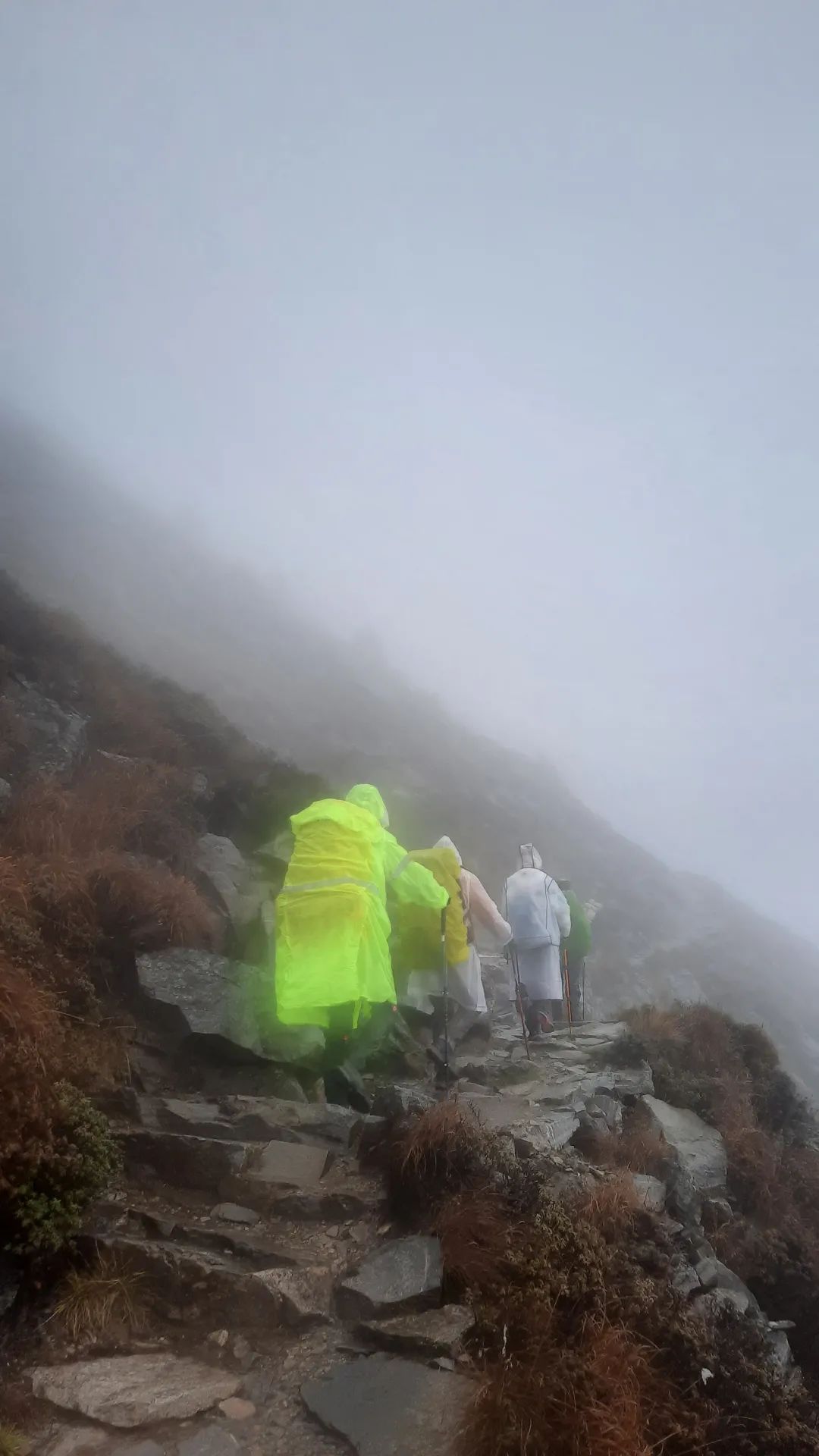 登太白山感受,太白山景区登顶拔仙台