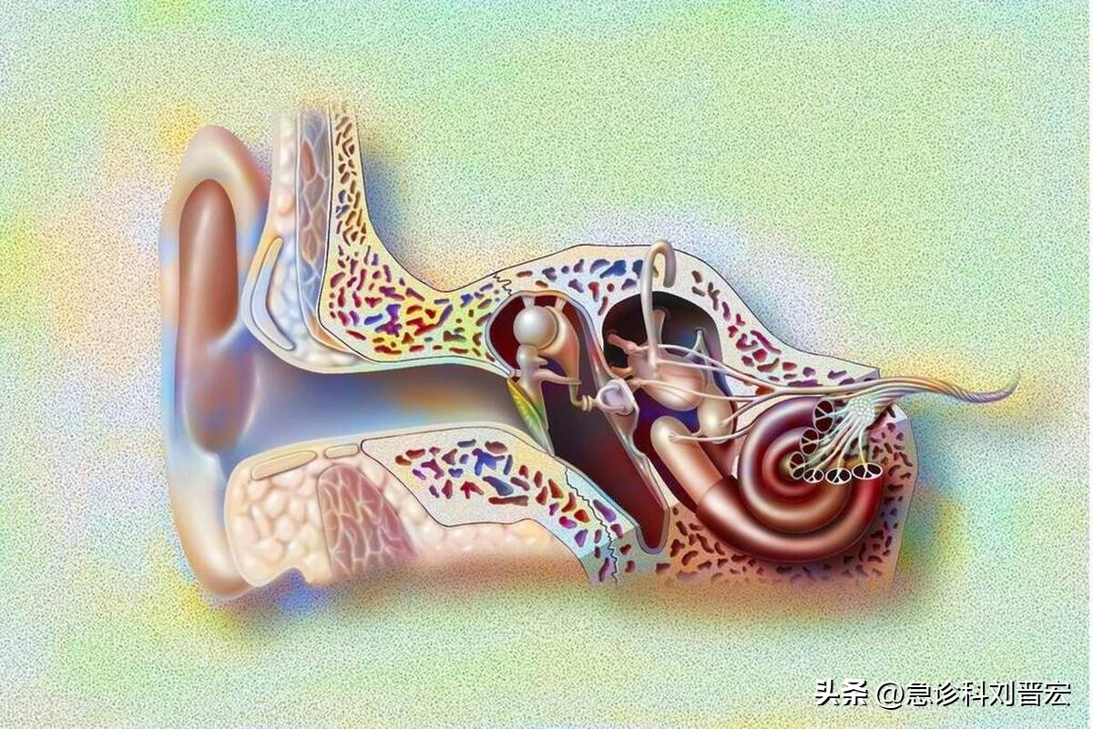 掏耳朵不小心掏疼了就会掏聋吗,耳朵掏聋了能治疗吗