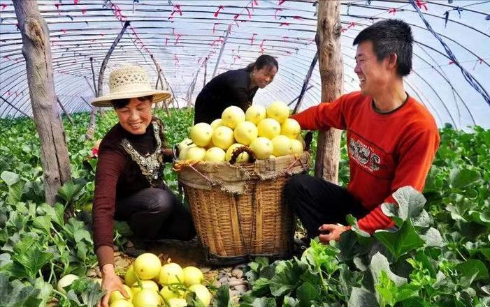 贫困地区农业发展现状,扶贫农业发展前景