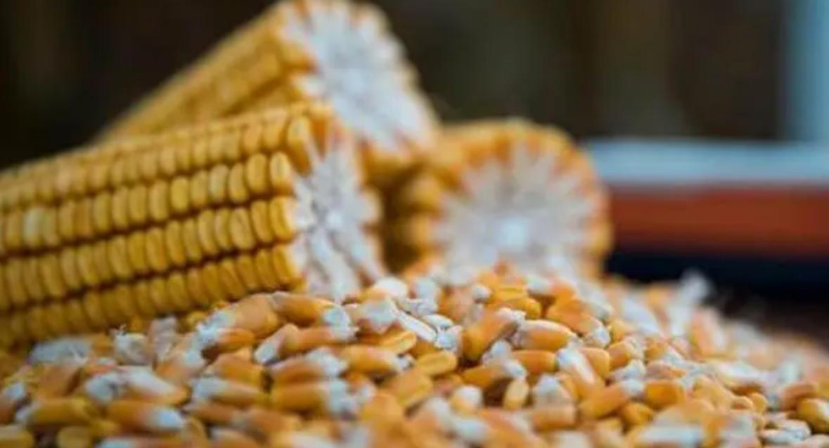 中国开始抛售美债了吗,中国正式宣布抛售美债吗