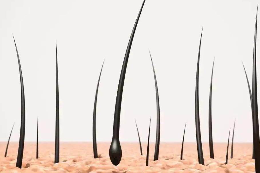 化疗死得更快为什么还要化疗,化疗已被医学界证明是错误的吗