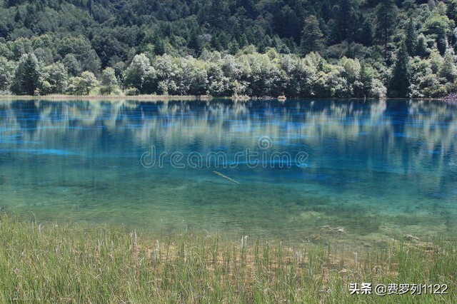 四月九寨沟美不美,四月的九寨沟点点滴滴