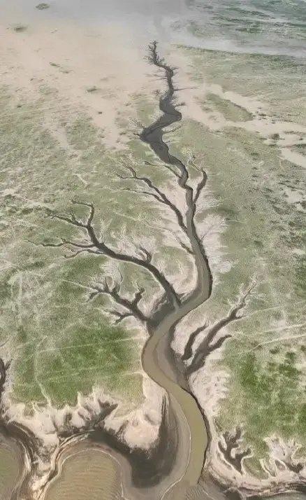 河沙为啥那么贵,中国哪个地方河沙最贵
