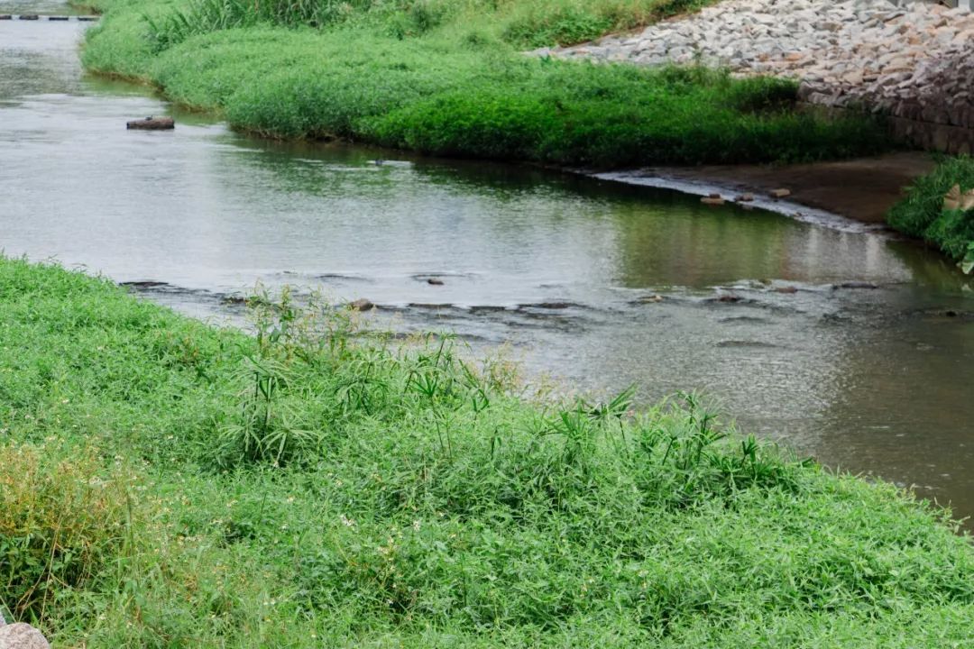 地铁深圳一号线哪里好玩,深圳1号线营业时间