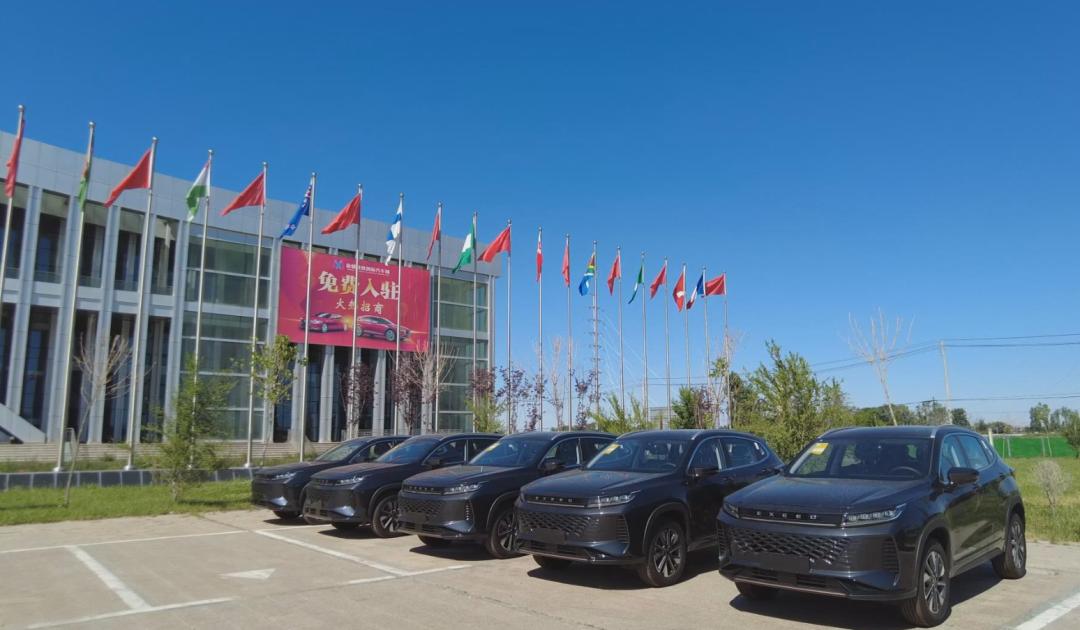 抓项目强投资促发展,抓项目促投资推动经济稳定增长