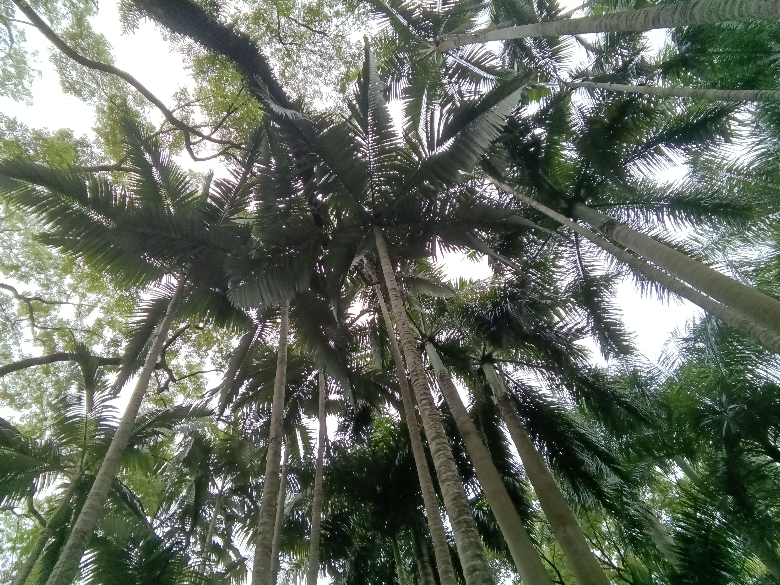 最新多亲qin3ultra测评,多亲qin3pro全面屏游戏测评