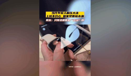 电子木鱼从哪火的,电子木鱼为何火了