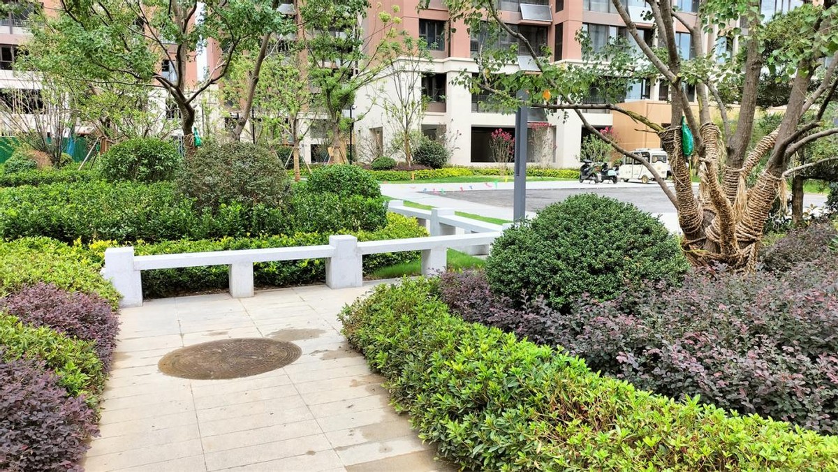 乐富强文宸悦府最近情况,乐富强文宸悦府是小庙吗