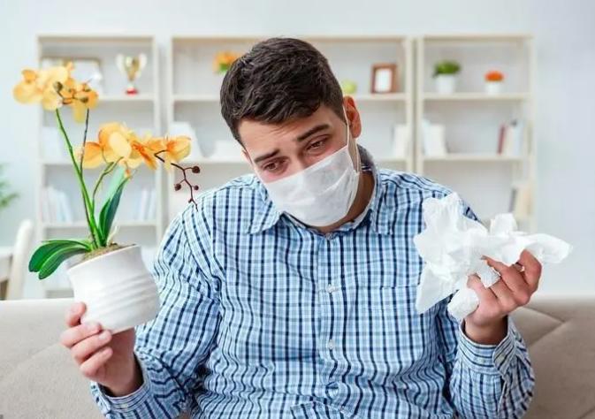 过敏性疾病的认识,过敏性鼻炎的流行病学