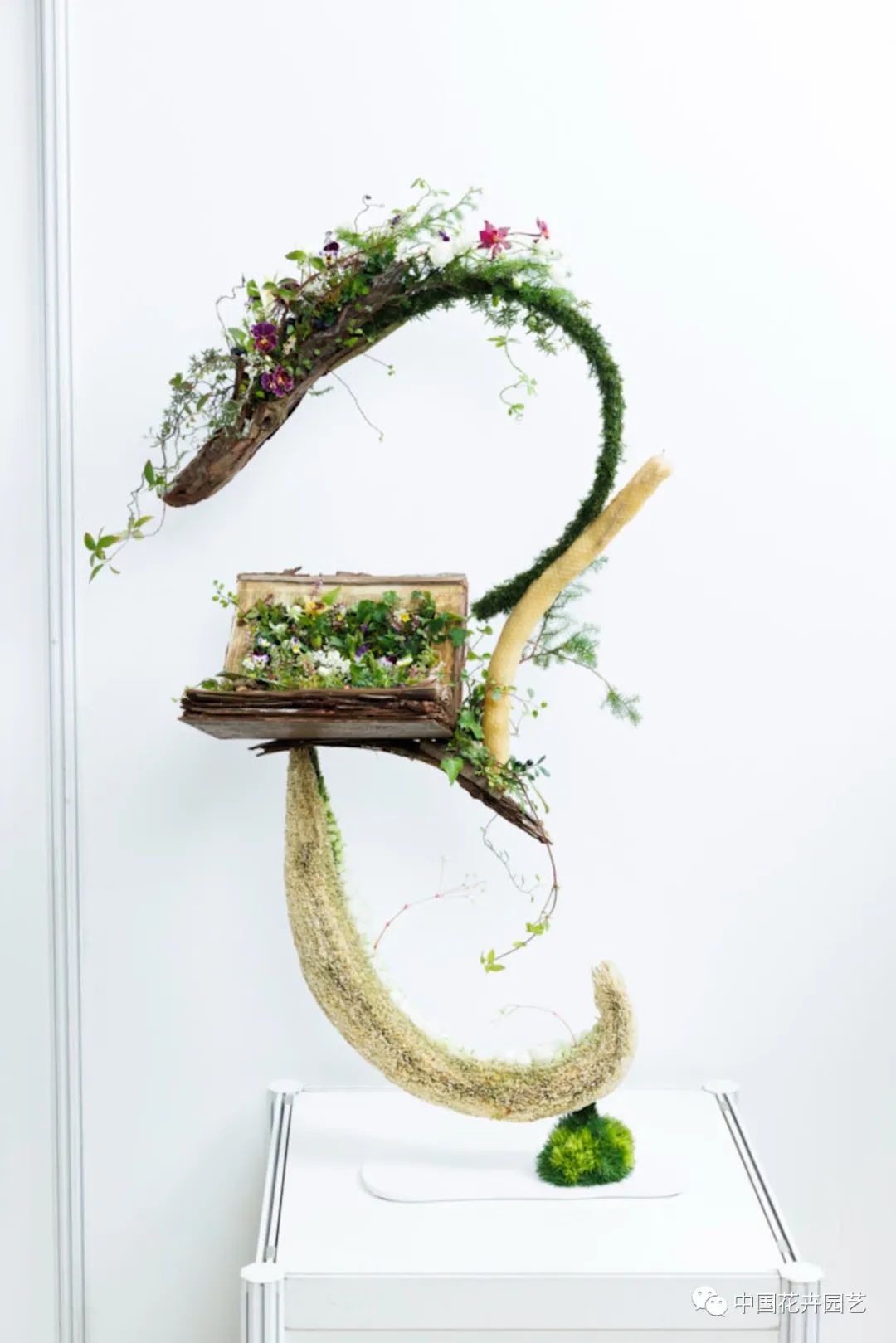 “2022日本花卉设计大奖”公布日本人花卉购买行为调查结果新鲜出炉|每周国际花讯