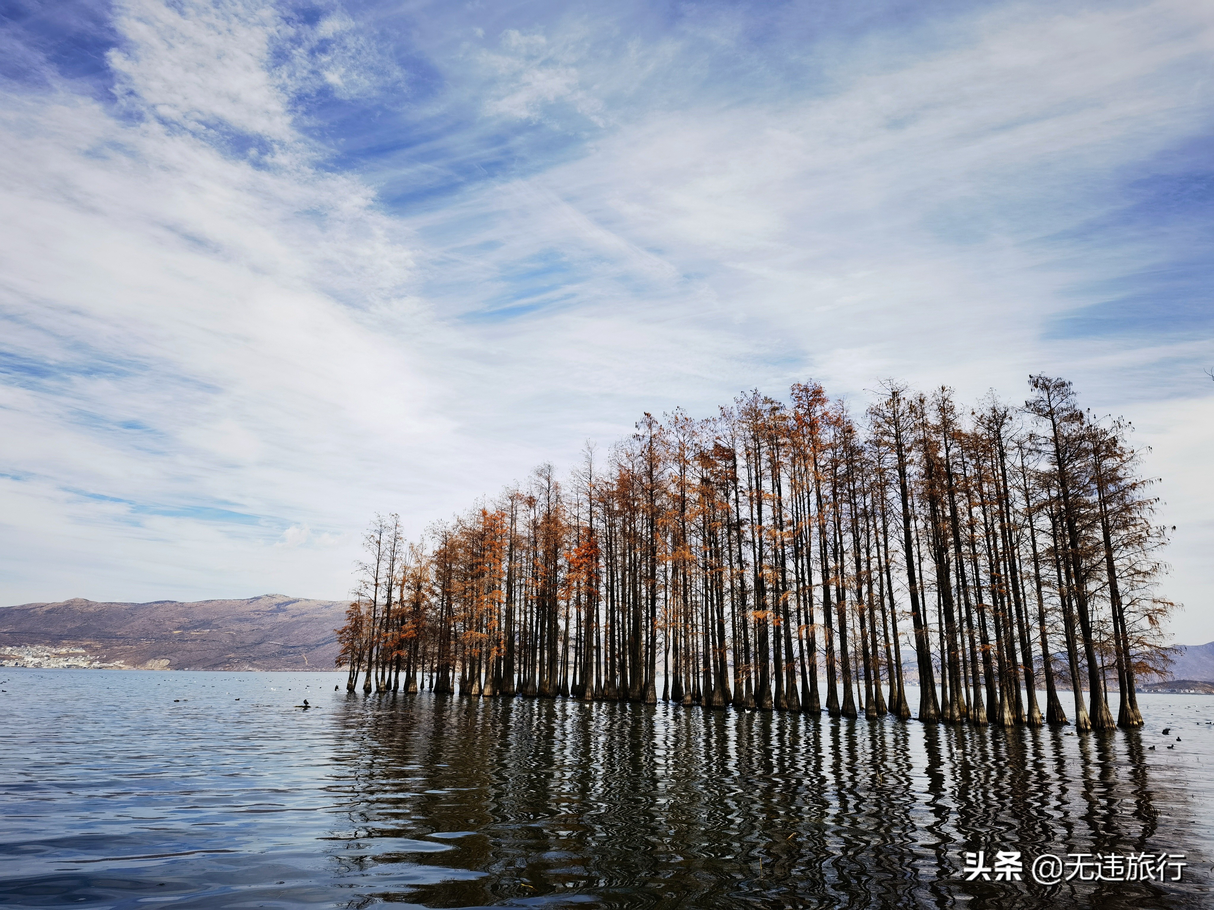 大理洱海龙龛码头看日出,大理洱海龙龛古渡风景