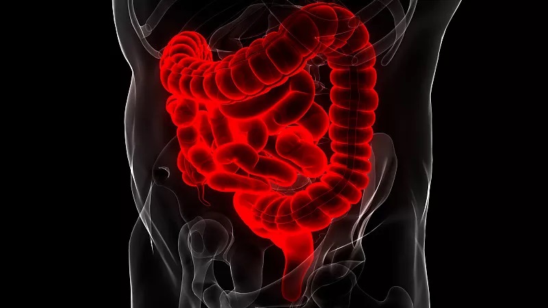 肠道不好的吃什么保护肠道,肠道常清理身体不生病