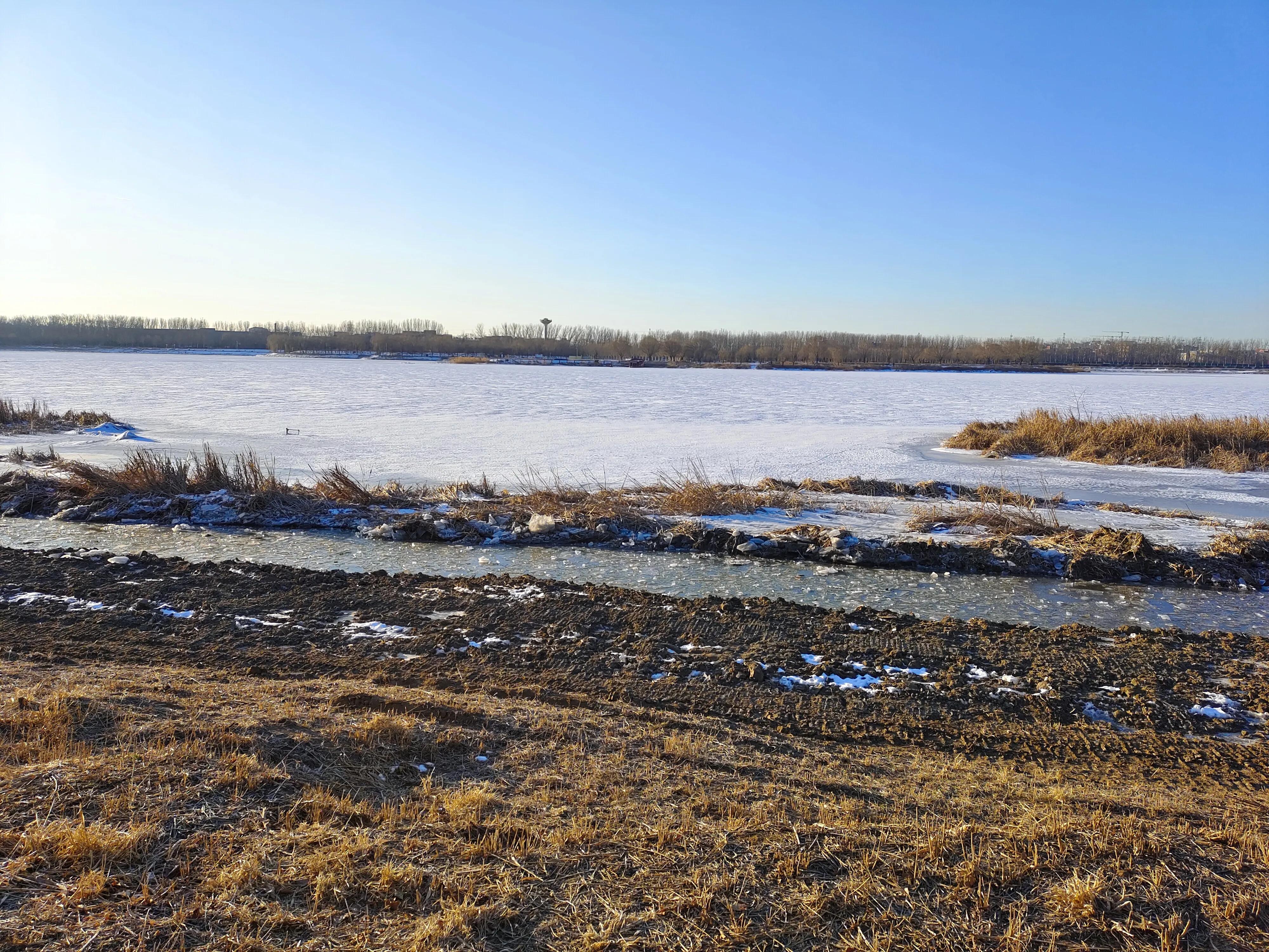又是新的一周表情包,又是新的一周开始了图片