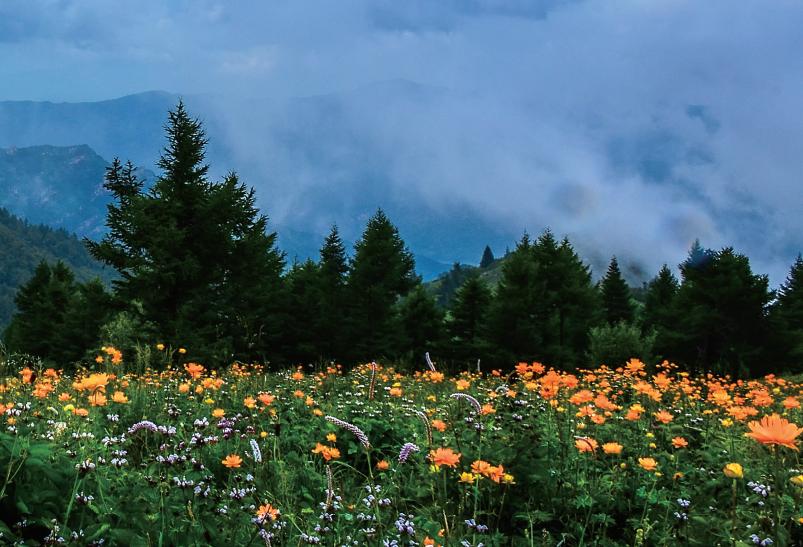 河北石家庄空中花园,河北一个很高的的景点
