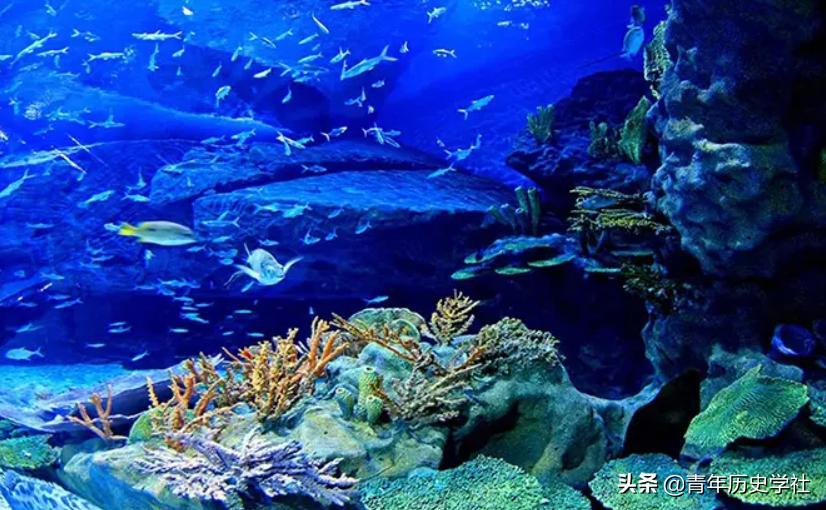 美人鱼神秘吗,美人鱼真实秘密