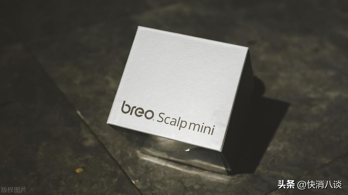 倍轻松2022年销售额,倍轻松亏损