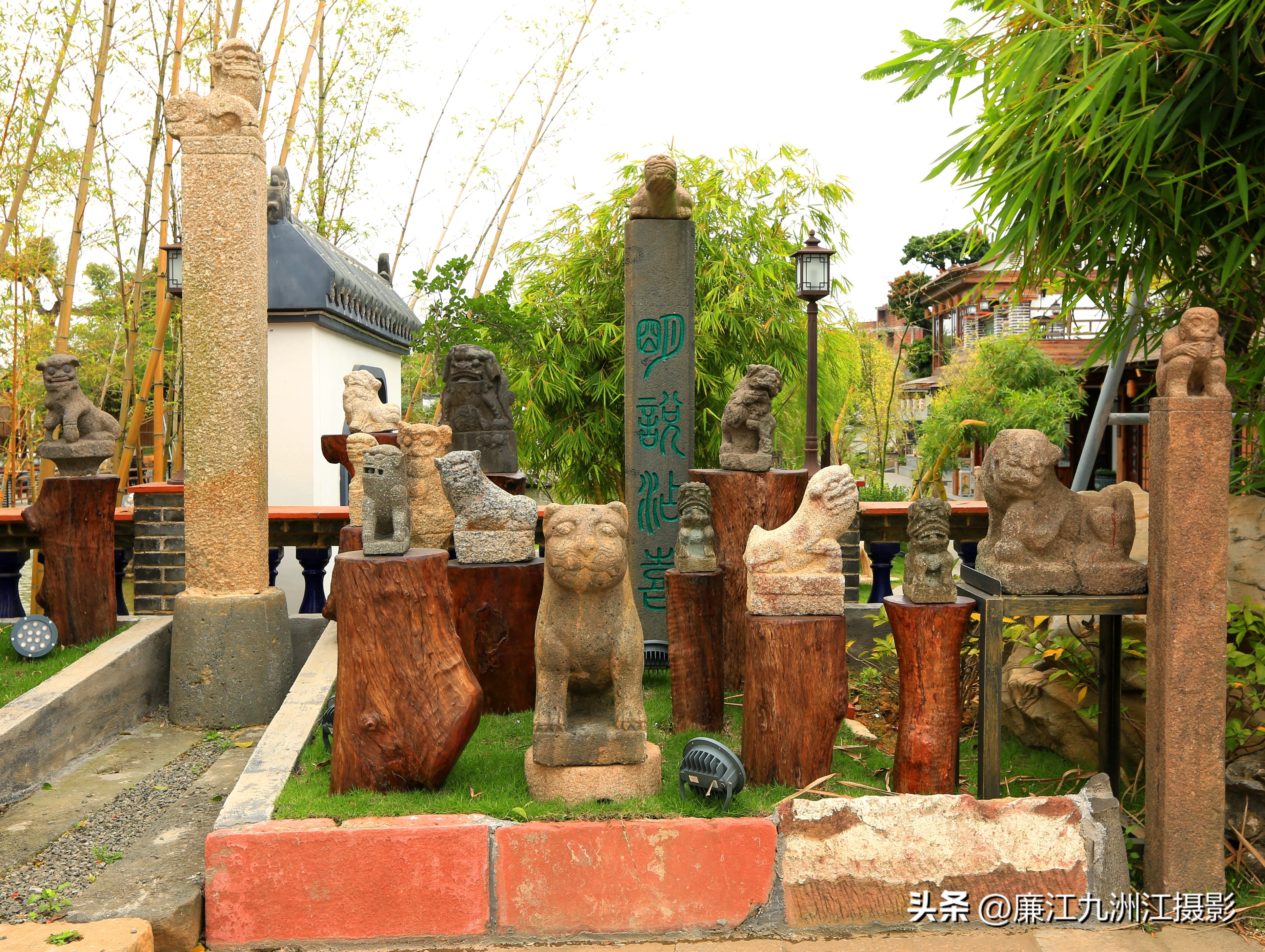 最高端的盆景展,一场惊艳的盆景展