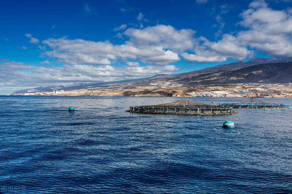 「每日一邮」1992-4《近海养殖