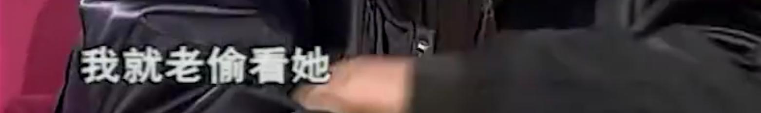 刘烨和谢娜现在结婚了吗,刘烨老婆安娜谢娜