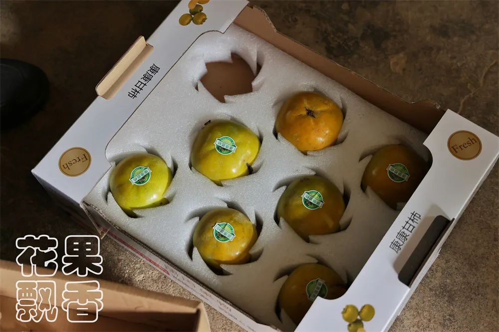 老农人对新农人的告诫:搞农业不要去大投入,要量力而行