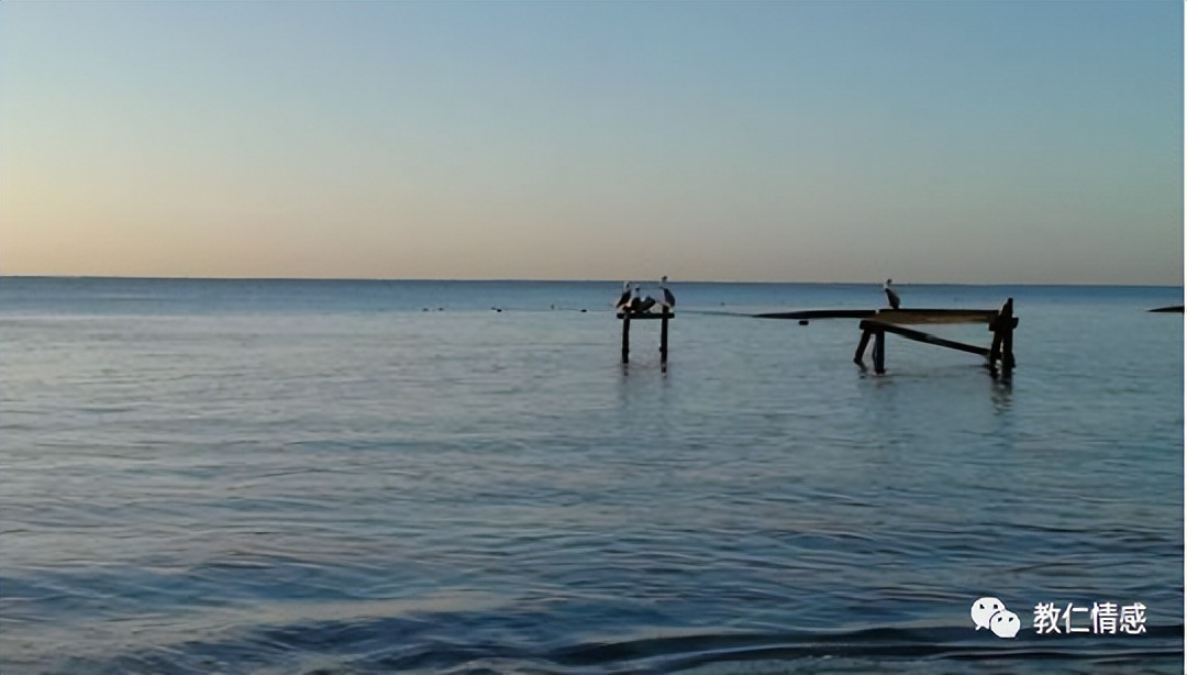 鑱婂ぉ缇よ秺鏉ヨ秺瀹夐潤,缇よ亰瓒婃潵瓒婂喎娓呬簡