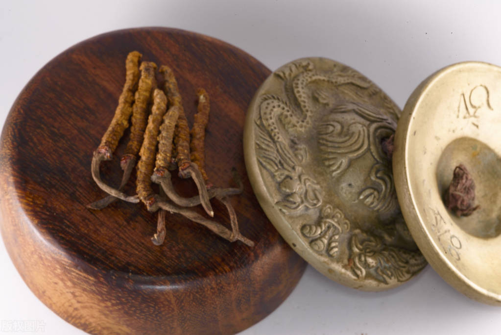 冬虫夏草发霉了还能吃吗,冬虫夏草发霉了怎么办