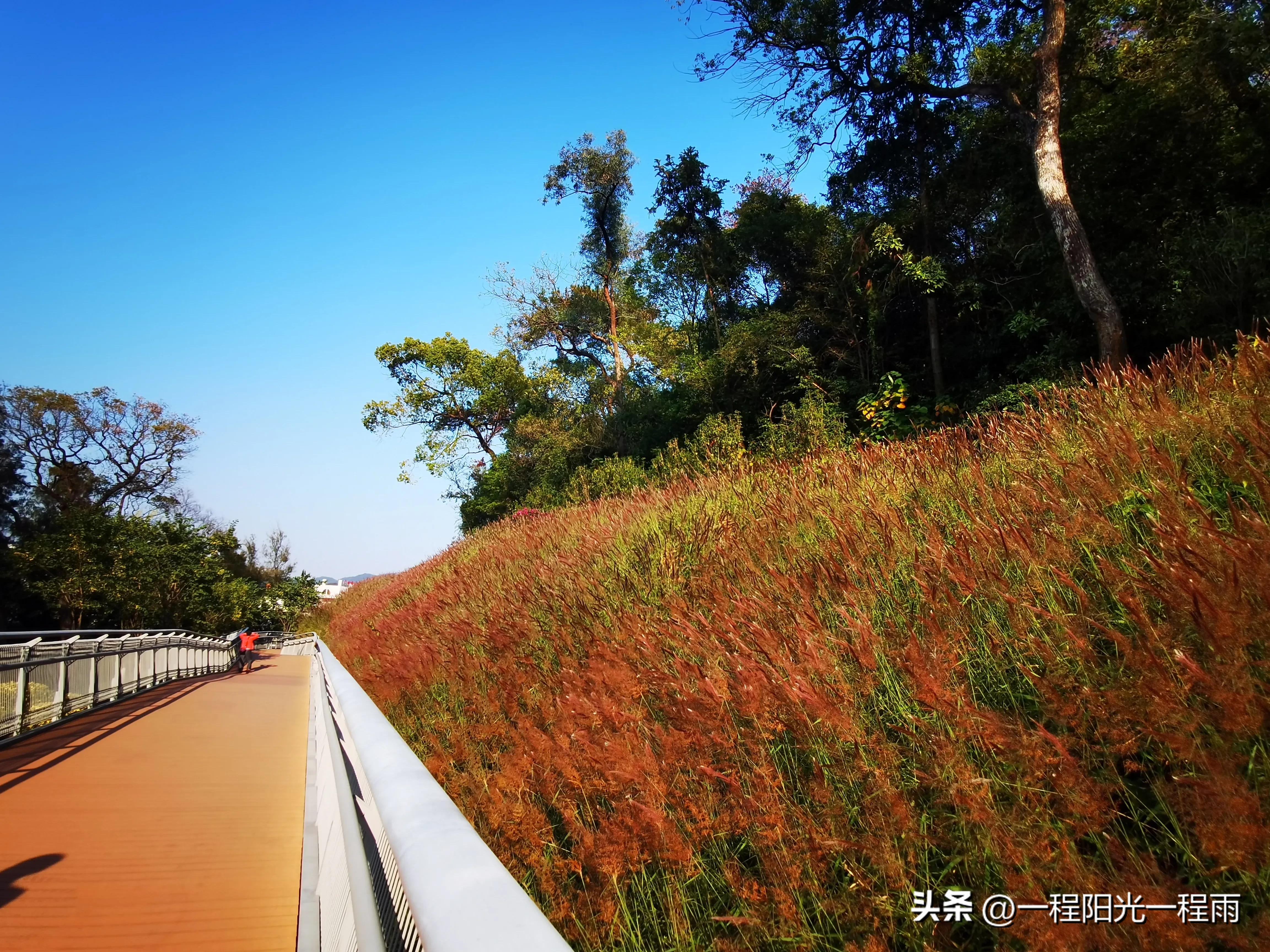 广州云道空中漫步,广州空中云道门票多少钱