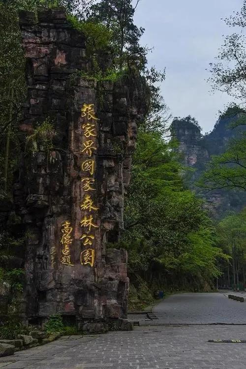 一定要来南方旅游，领略南方景色的风情万种