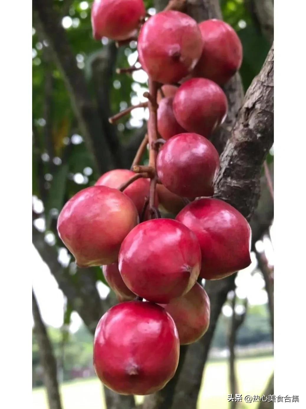 奇葩水果开箱合集,这些奇葩水果你见过吗