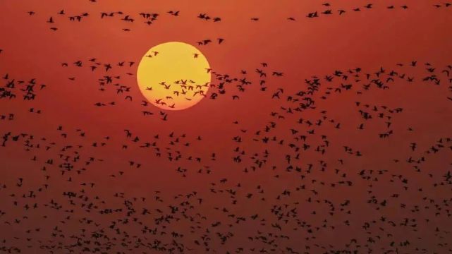 2022年春节放假时间出炉!这份旅行攻略请查收