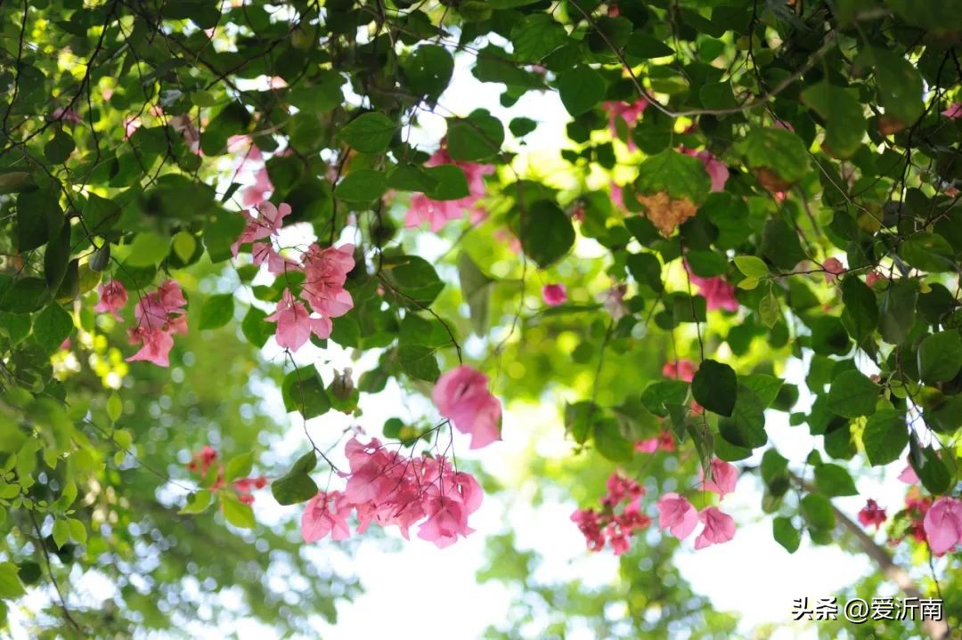 最唯美的唐诗100首,最唯美的唐诗10首